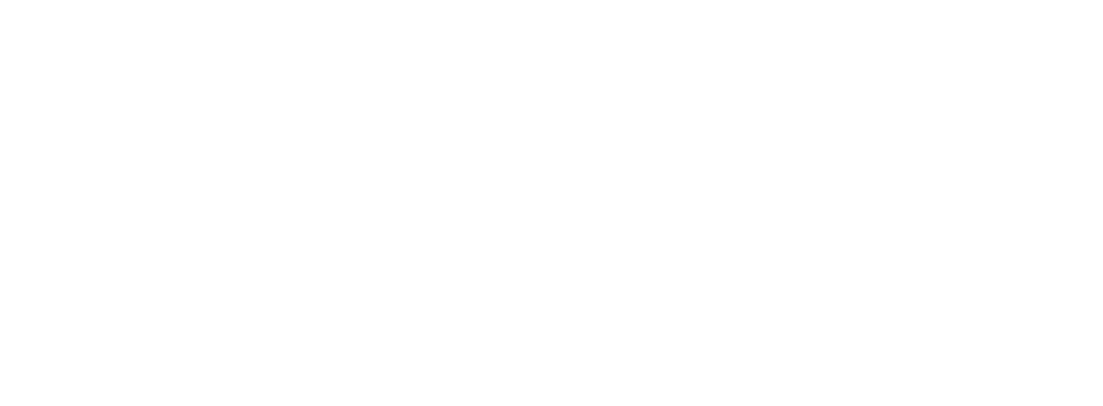 Nets4Dem